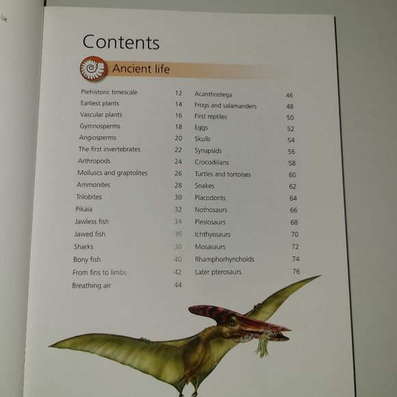 Dinosaur educational book - Picture 3 of 3
